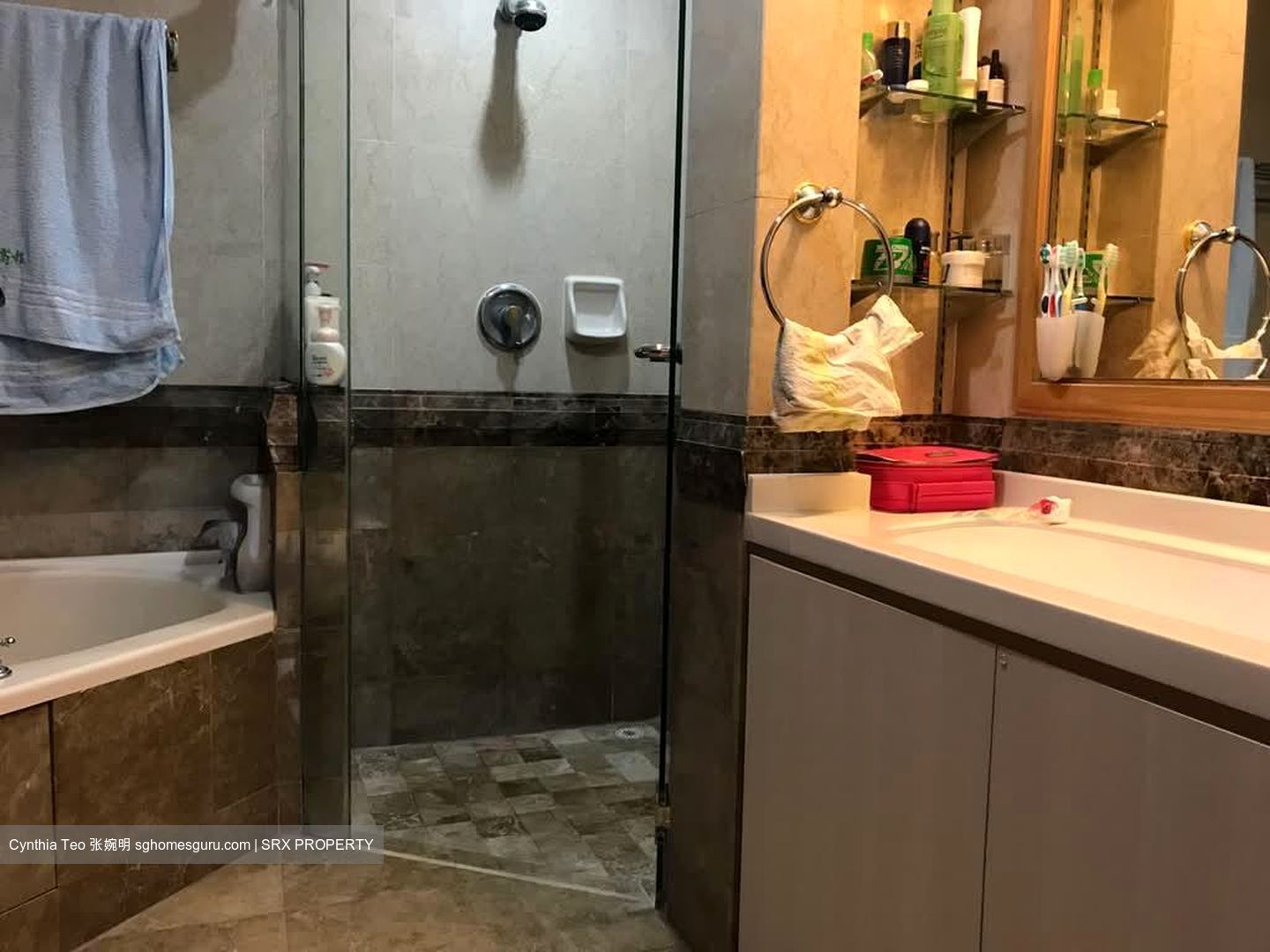 The Sterling (D21), Condominium #568351621